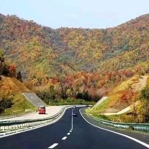 浪漫之旅头像