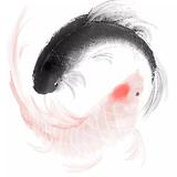 还不如再加点钱上个劳头像
