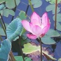 尽览大好河山头像