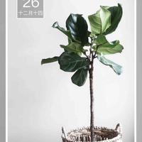 手机用户5763211427头像