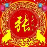 東少头像
