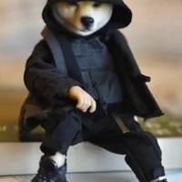 用户7954528886148头像