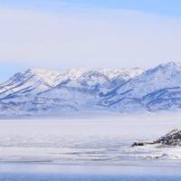 逢场作戏215头像