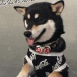 用户100092460807头像