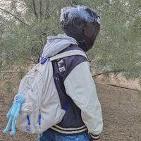 奇妙铅笔zV4头像