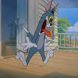Tom2298头像