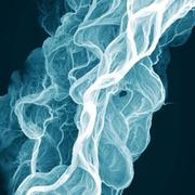 CoderOfRat的个人资料头像