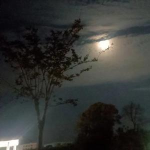 豁达的人称老六头像