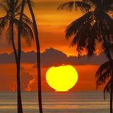 聪明的鲸鱼9le头像