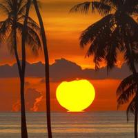 聪明的鲸鱼9le头像