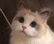 sudouki的个人资料头像