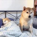 你想暖着谁头像