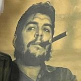 刺拳杀手头像