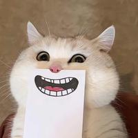 用户9809313517593头像