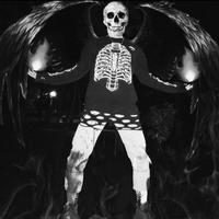 自在虎林2v5头像