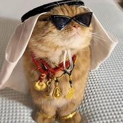 六六982的个人资料头像