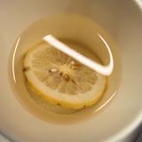 我是一只小小小鱼鸟儿头像