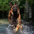 Pretend幸福头像