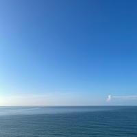 奥尔良手撕小野兔头像