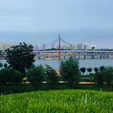 独孤728头像