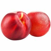 247759589的个人资料头像