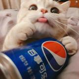 不變de永恒头像