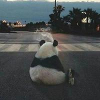 用户4922944022808头像