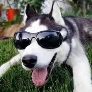 泪微凉的个人资料头像