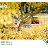 清爽鱼6头像