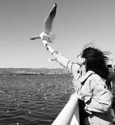 923197712like的个人资料头像