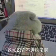 豆豆爱果子的个人资料头像