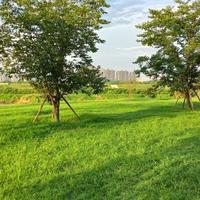 用户4116419218440头像