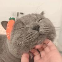 用户7165298325567头像