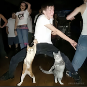 王不白的个人资料头像