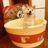 十二79687头像