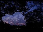 小小小小菜鸡的个人资料头像