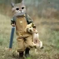 今日更新vip头像