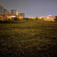 奔跑中的飞鸟头像