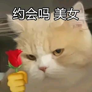 或许我可以叫这个名字头像