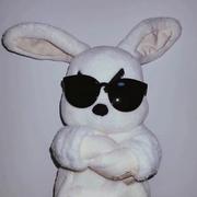 BugMaker002的个人资料头像