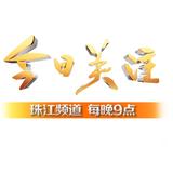 广东台今日关注头像