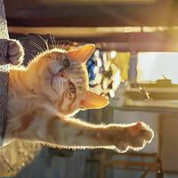 用户817136157852头像