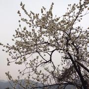 用户6354149020767的个人资料头像