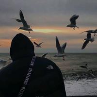 Mᴀʏʙᴇ349头像