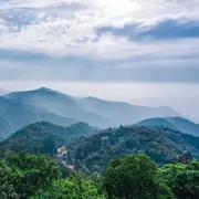 joe845的个人资料头像