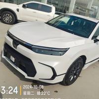 开皓影的猫哥头像