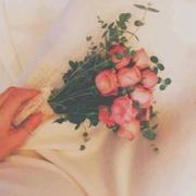 小苗苗吖的个人资料头像