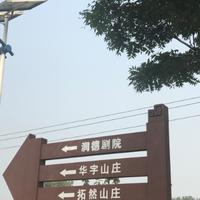 心不动钱不痛头像