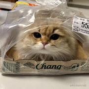 拾雪的个人资料头像