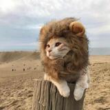 嘿嘿力量头像